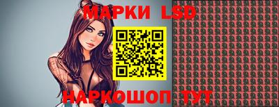 СК Моздок