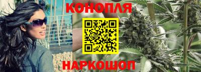 СК Моздок