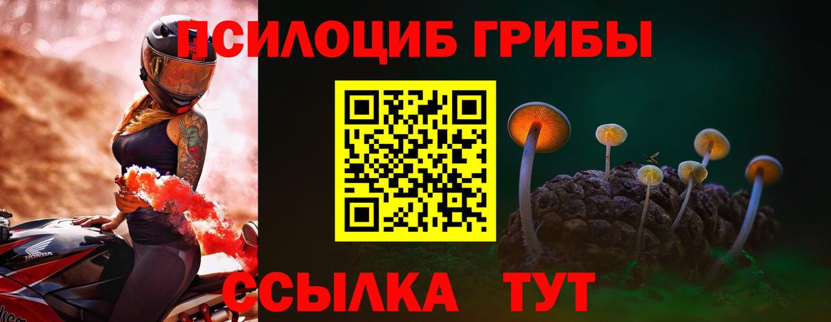 Галлюциногенные грибы Cubensis  Вход с VPN  Псилоцибиновые грибы Cubensis  Прохладный 