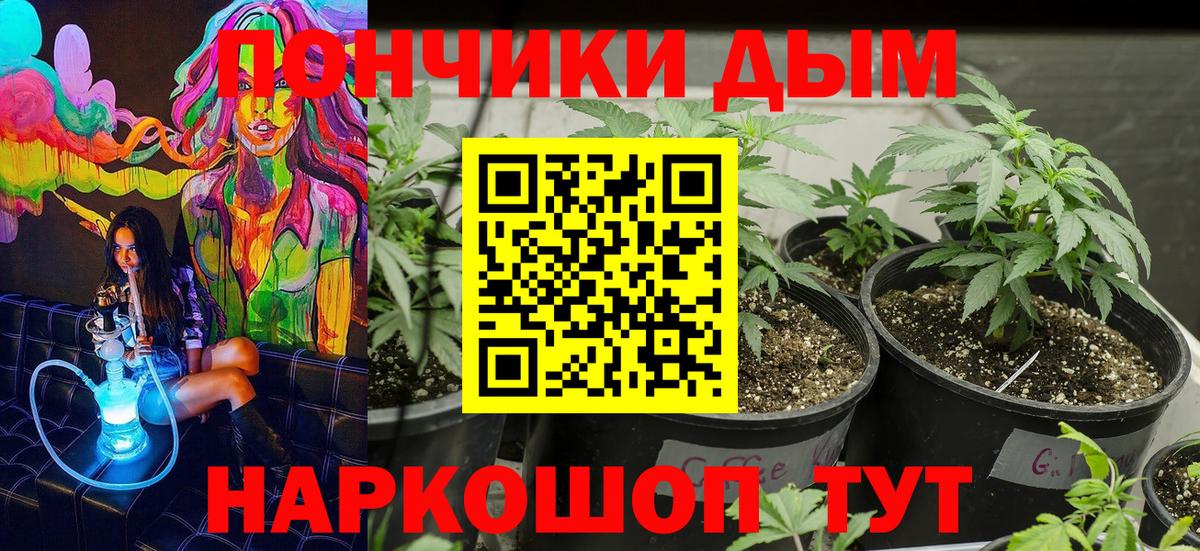 Прохладный  Бошки марихуана Ganja  Бошки Шишки план  Вход с VPN 